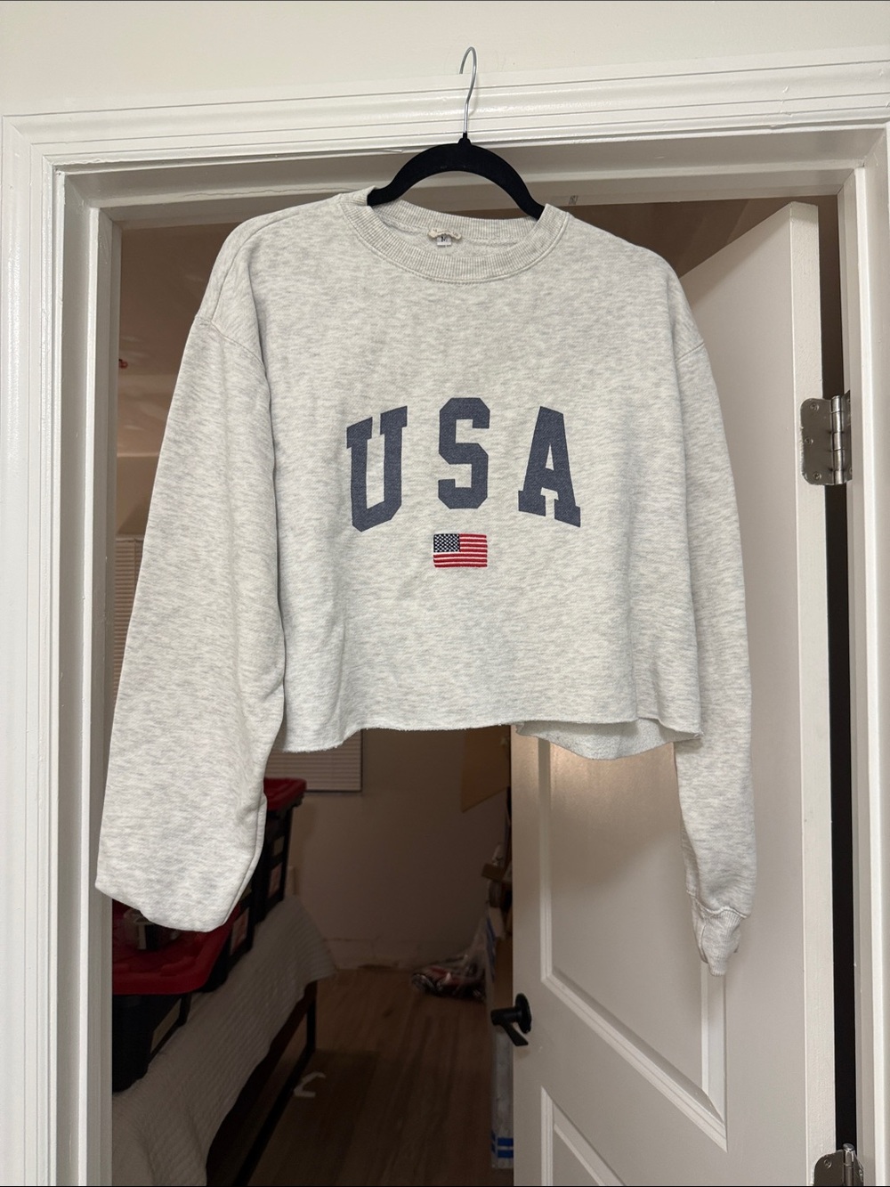 Brandy Melville John Galt Light Gray Cropped USA Sweatshirt with Navy Letters